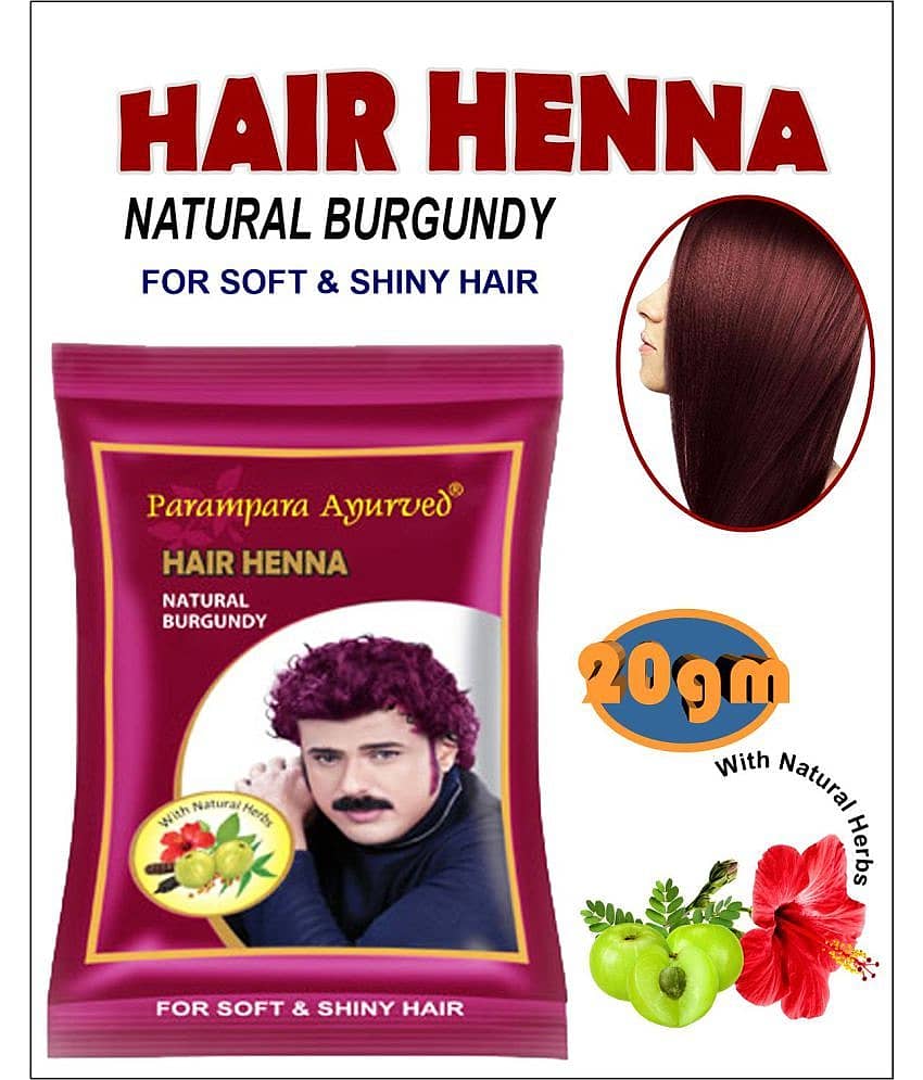 Parampara Ayurved Burgundy Hair Henna Burgundy Hair Color Corrector 20 g Pack of 10 view 2