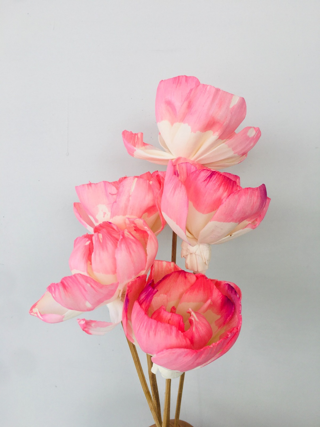 Barbie Pink Sola Flower (5pcs) view 2