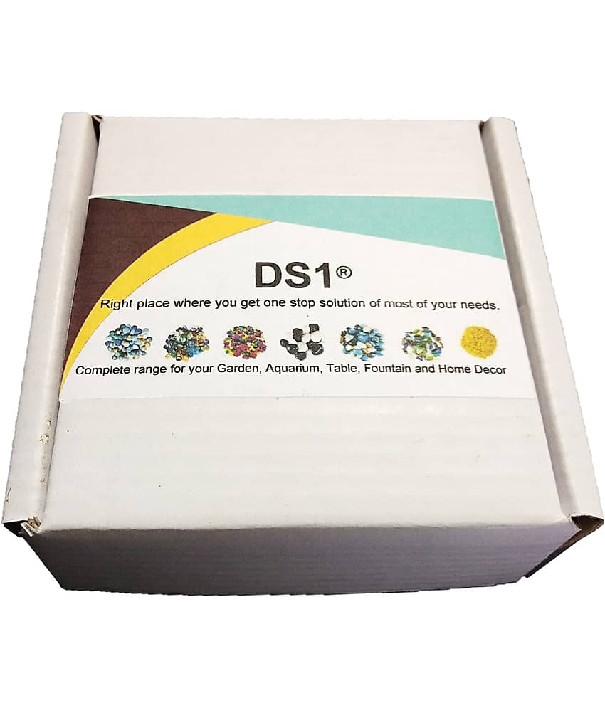 DS1 Decorative Pebble multicolor for Garden Decor (400 Gm) view 2