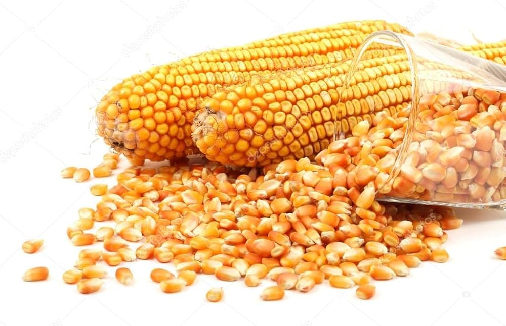 Maize 10kg