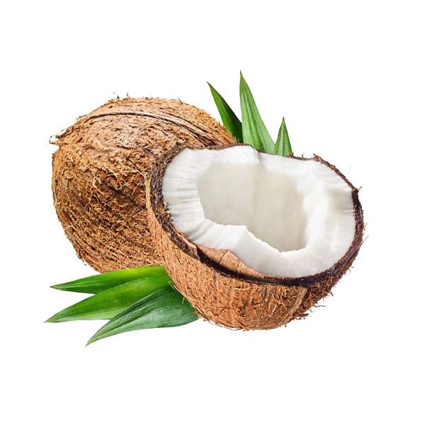 Coconut 1 Pc