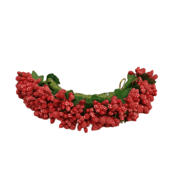 Red Berry Hair Comb set