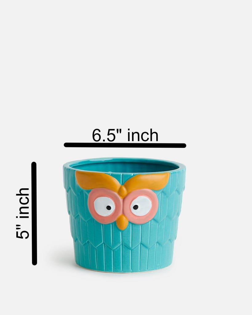 Decorative Charming Owl Face Resin Planter Pot view 2