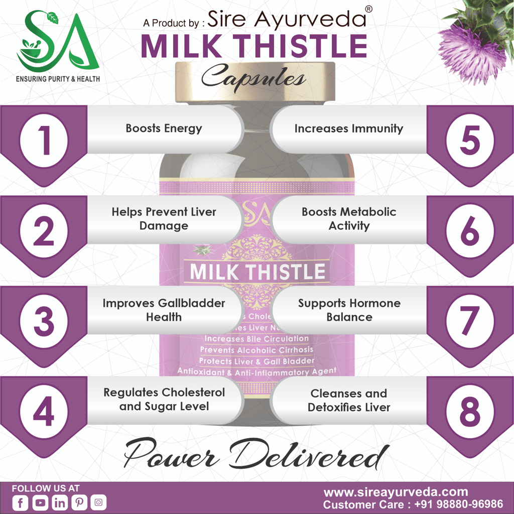 MILK THISTLE (Healthy Liver, Boost Metabolism And Maintain Cholesterol level) view 2