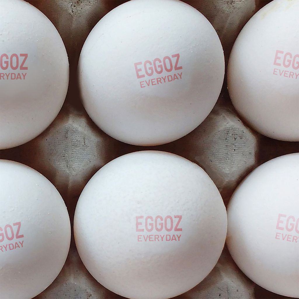 Eggoz Everyday 10 White Farm Fresh Eggs view 2