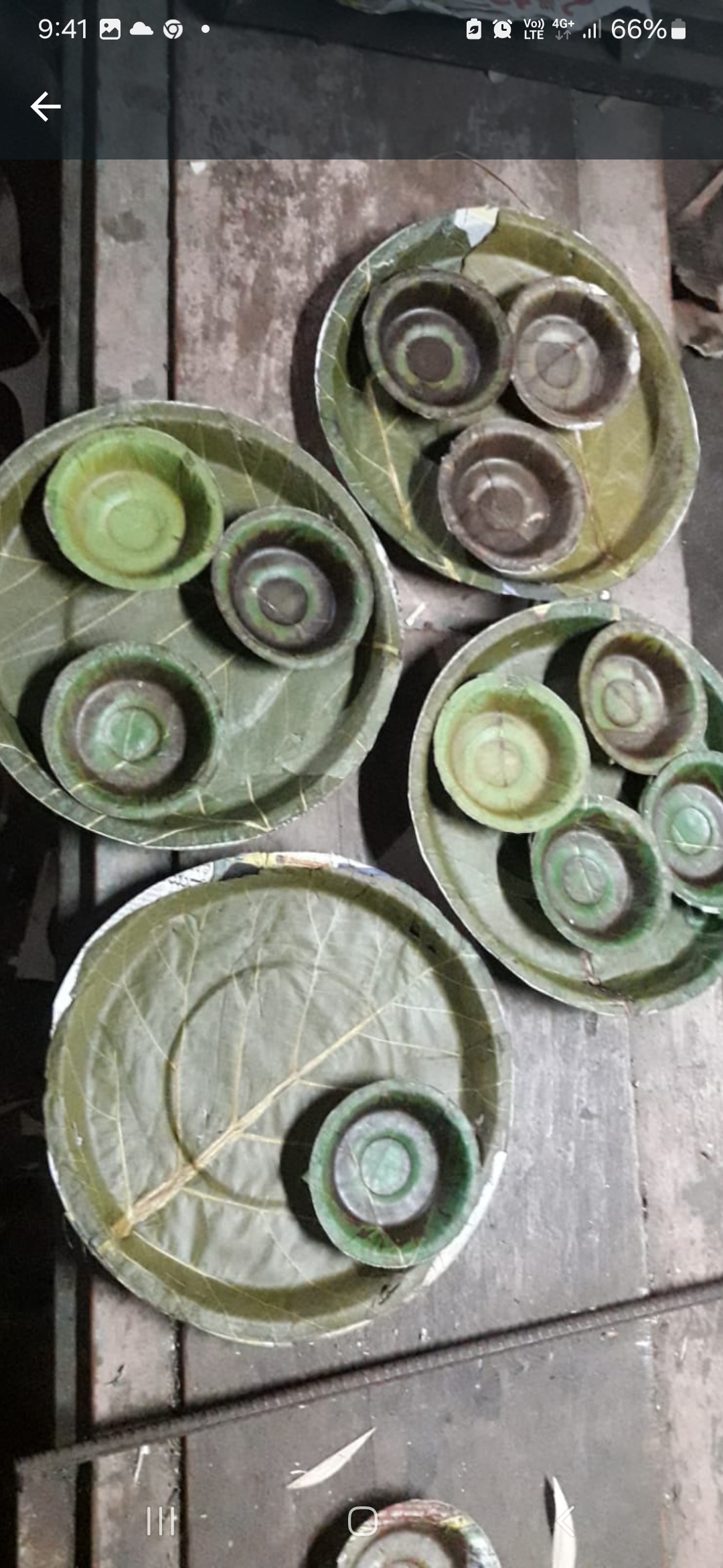 Green Leaf Plates - Siali / Sal view 2