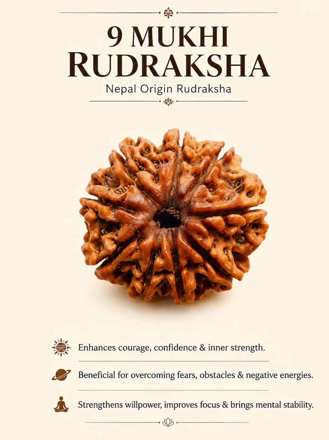 9 MUKHI (18-25 MM) RUDRAKSH NEPAL
