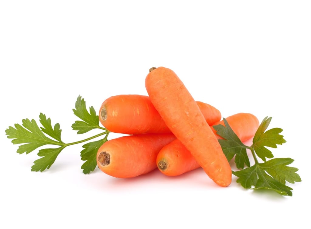 CARROT view 2