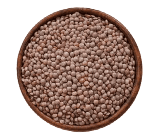 Masoor, 500 gm
