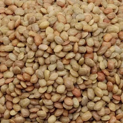 HORSR GRAM ( KULTHI DHAL) view 2