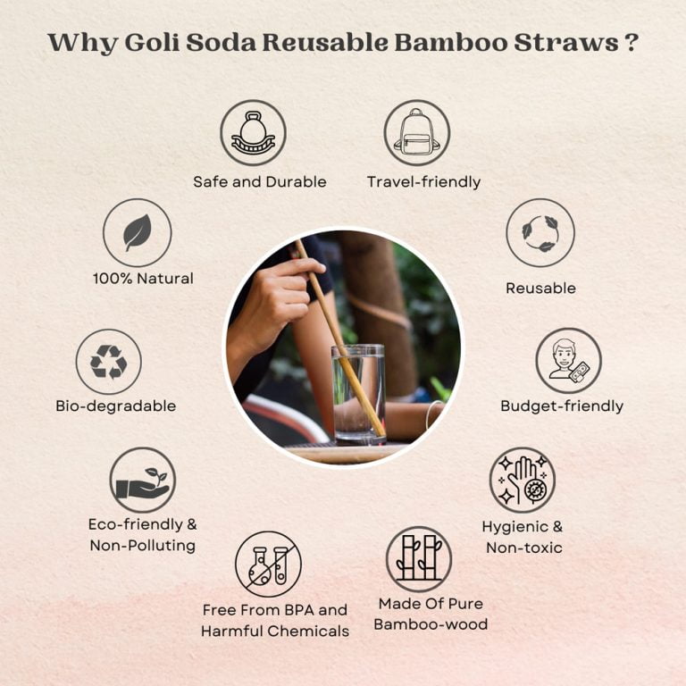Goli Soda Reusable Bamboo Straws With Easy Carry Travel Pouch (Set of 2) view 2