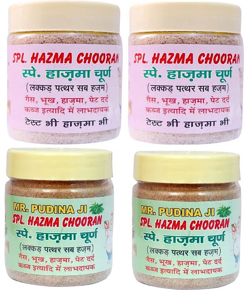 My God Gift My God Gift Mr Pudina Ji and Special Hazma Churan -100 gm ( pack of 4) 400 gm view 2