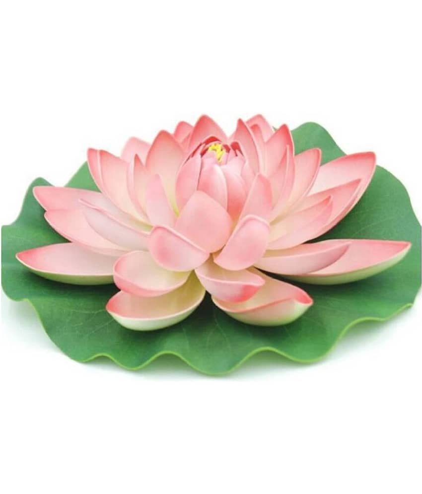 Green plant indoor Lotus Multicolour Floating Flowers - Pack of 1 view 2