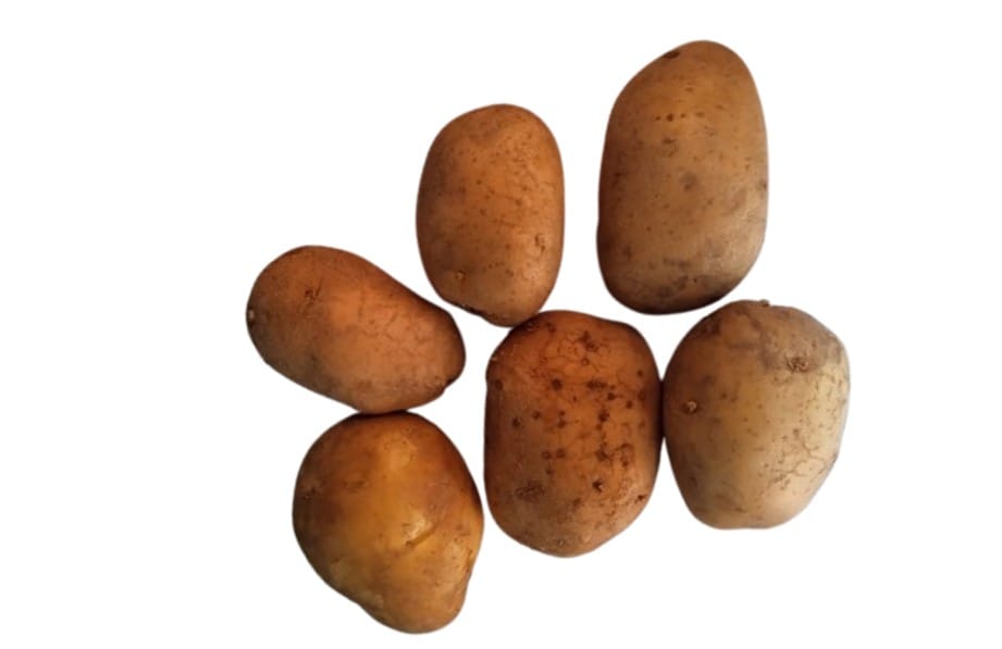 Fresh Potatoes view 2