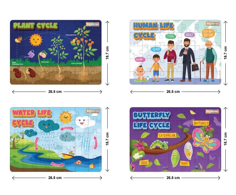 ZiGYASAW 4 in 1 Lifecycle Puzzle Combo for Kids - Human, Plant, Water, and Butterfly Lifecycle Educational and Fun Jigsaw Puzzles - 140 Puzzle Pieces (Ages 4 and Up) view 2