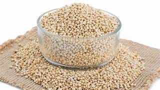 Sorghum (Jowar) view 2