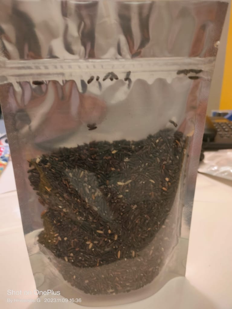 Black Rice view 2