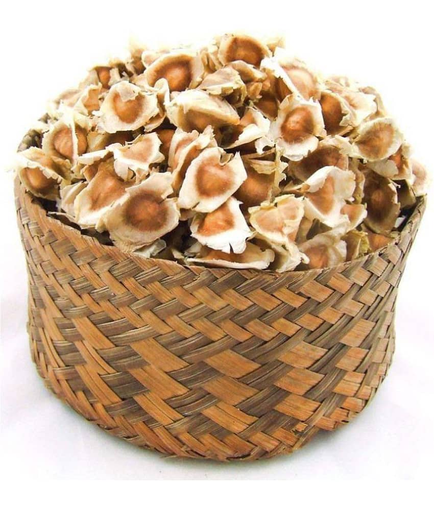 Splendour Seeds Drum Stick–Moringa,Murangai, Saijan ki phalli,Saragavo vegetable seeds (10 Seeds) view 2
