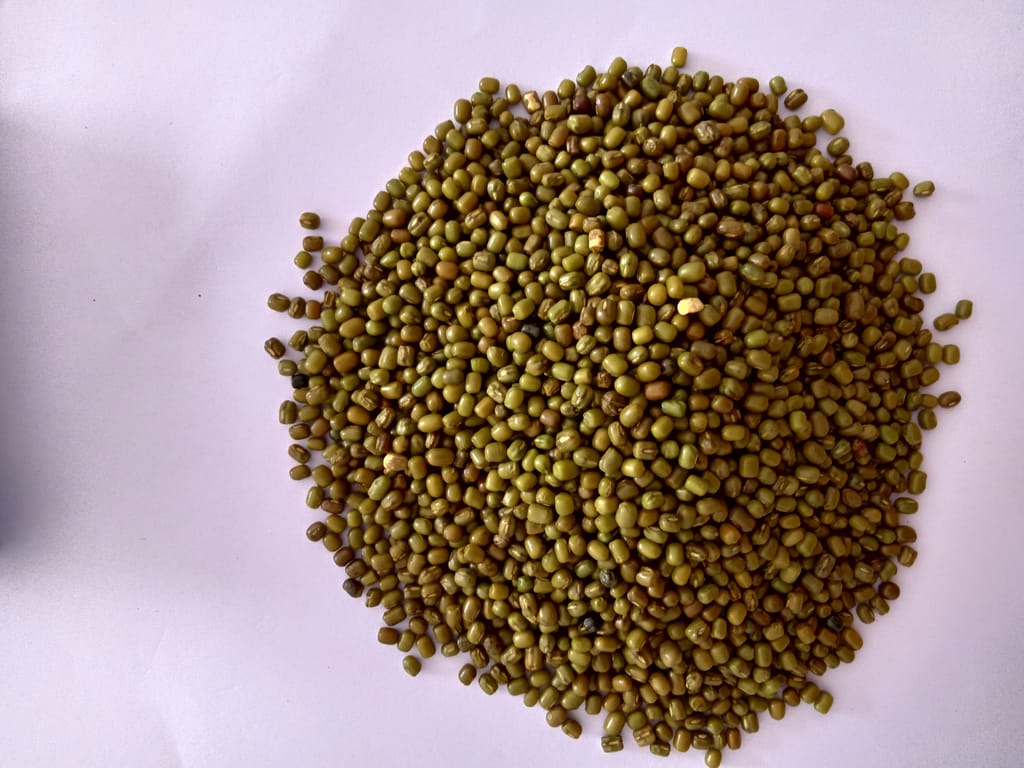 Green Mug Dal 500 gm (pack of 2) view 2