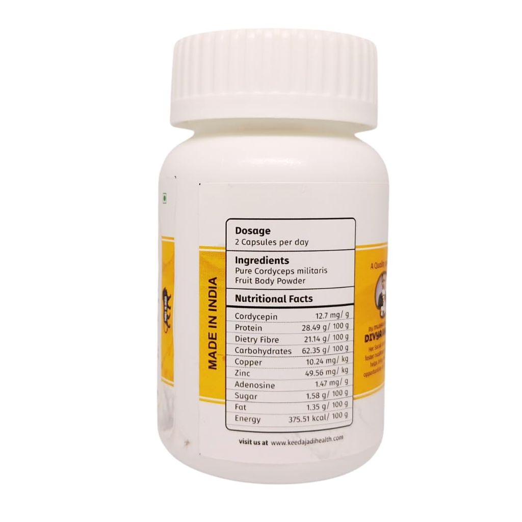 KEEDAJADI SUPER FITNESS with 60 capsules of 500mg each, packed with main fruit body Cordyceps militaris view 2