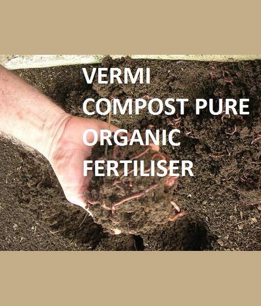 Compost for Plants Home Garden (Vermi kechua khad) 1 KG view 2