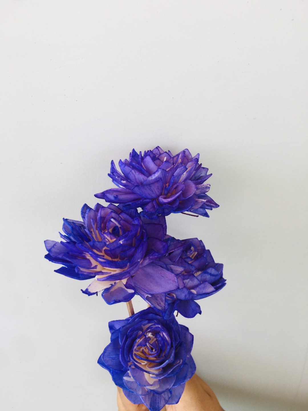 Ombre Mauve Dahlia Sola Flower (5pcs) view 2