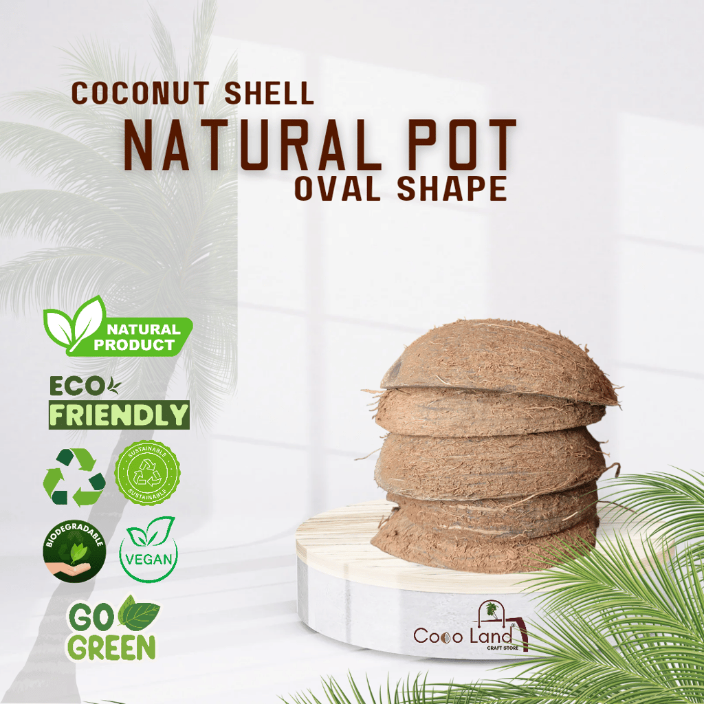 Coco Land Coconut Shell Natural Oval Pot (LARGE SIZE Pack of 30) 250 ml Decorative Pots/Showpieces/Candle Making Bowl /Handicraft/Agro Craft view 2