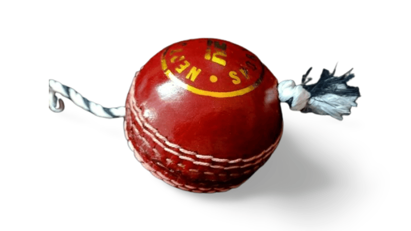 NE NEPTUNE Leather Cricket Hanging Ball, Silk String Cricket Ball and Knocking Cricket Ball with Rope, RED (Pack of 1) view 2
