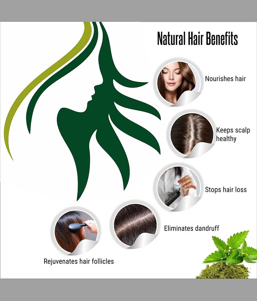 Oilanic 100% Pure Bhringraj Powder & Charcoal Powder For Skincare Hair Mask 200 g Pack of 2 view 2