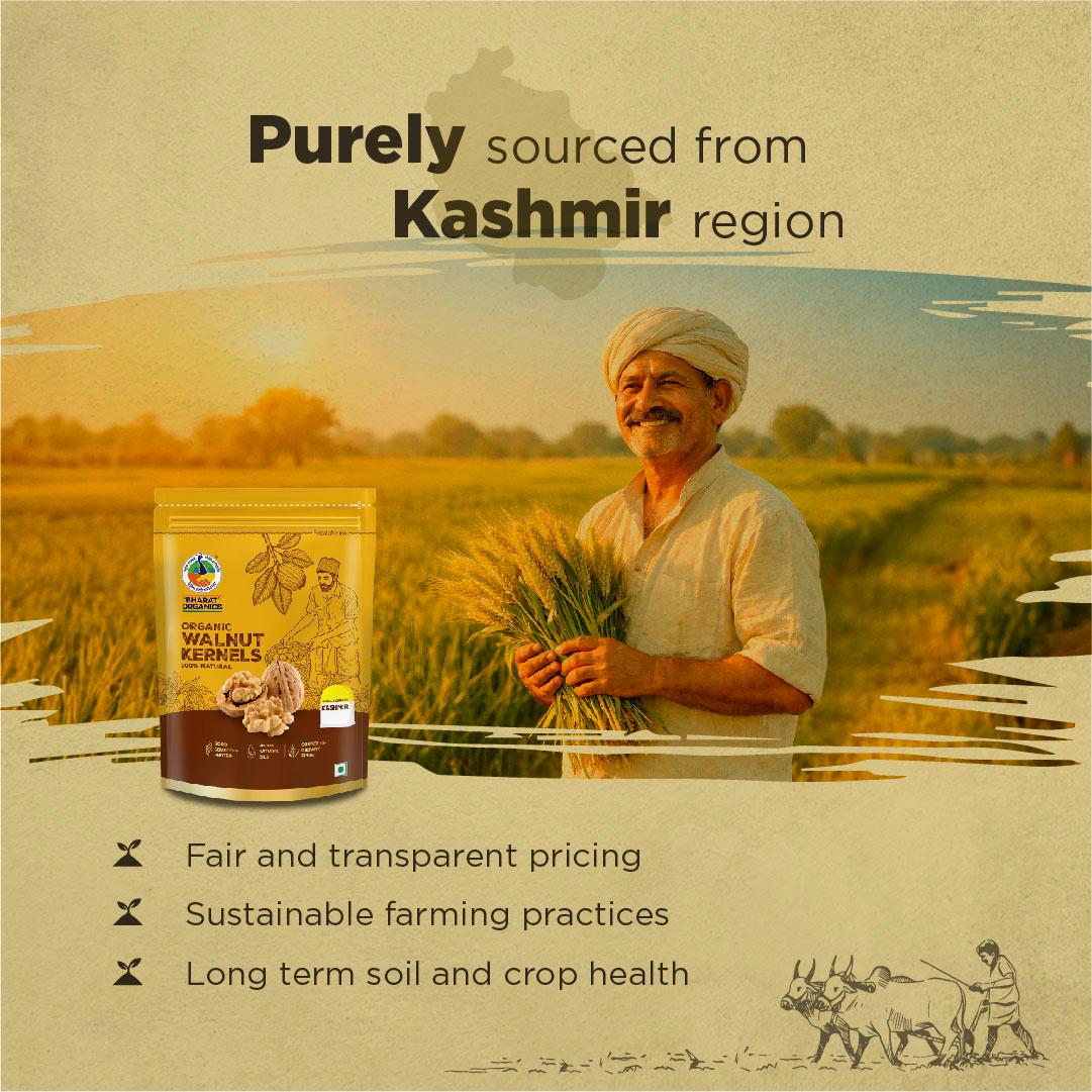 Organic Kashmiri Walnut Kernels - Bharat Organics view 2