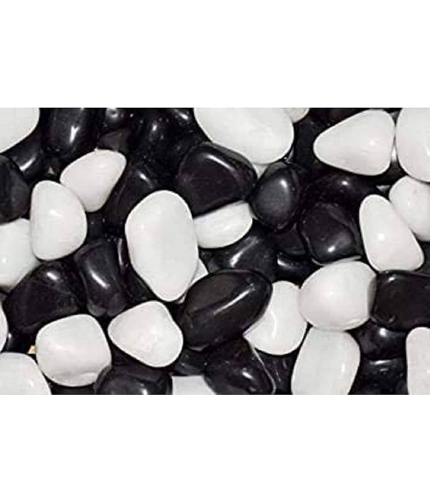 VANNEF Stone Natural River Pebbles for Indoor Outdoor Garden (Black&White, 500gm)
