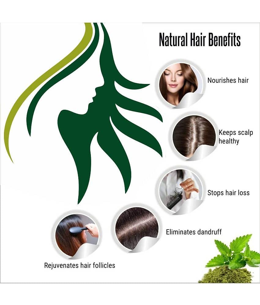 Oilanic 100% Pure Bhringraj Powder & Red Sandalwood Powder -Skin Hair Mask 200 g Pack of 2 view 2