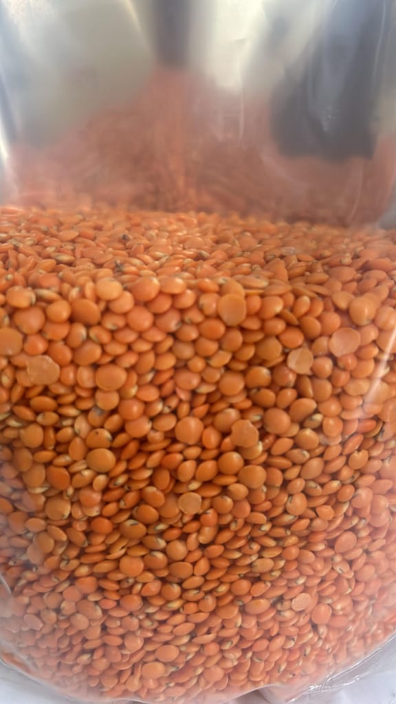 Masoor Dal view 2