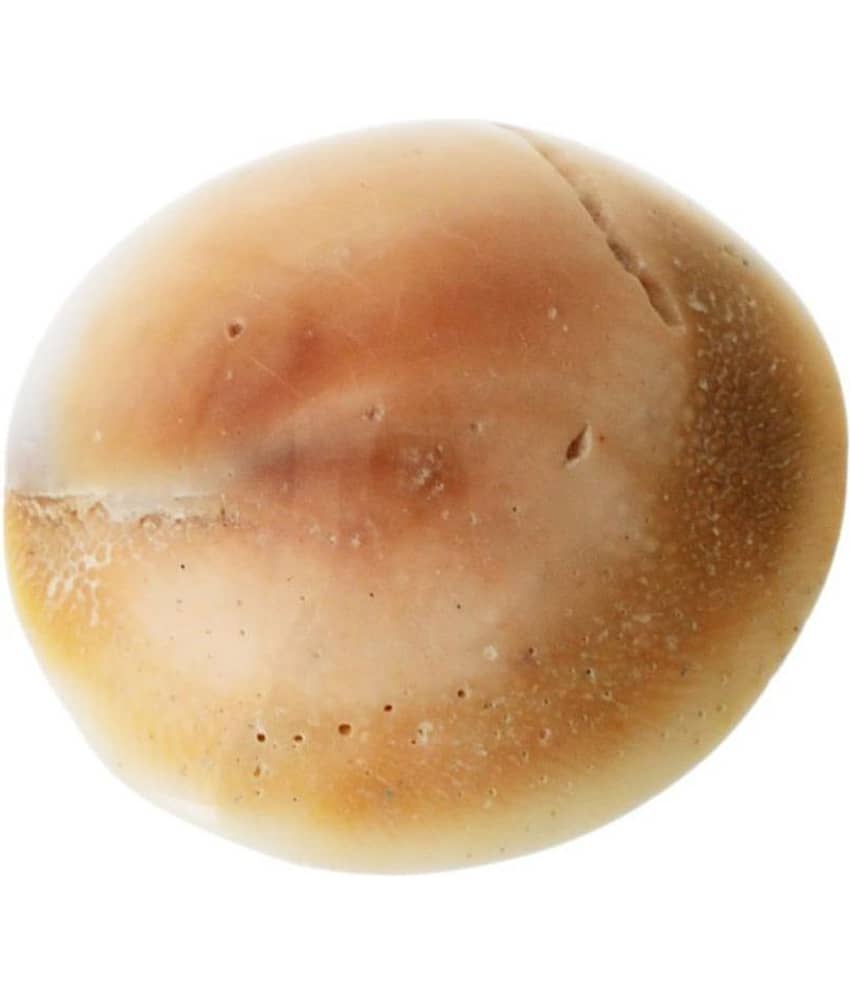 KESAR ZEMS Natural Stone Gomtichakra Pack of 22(8.5x5.5x2 cm) White view 2
