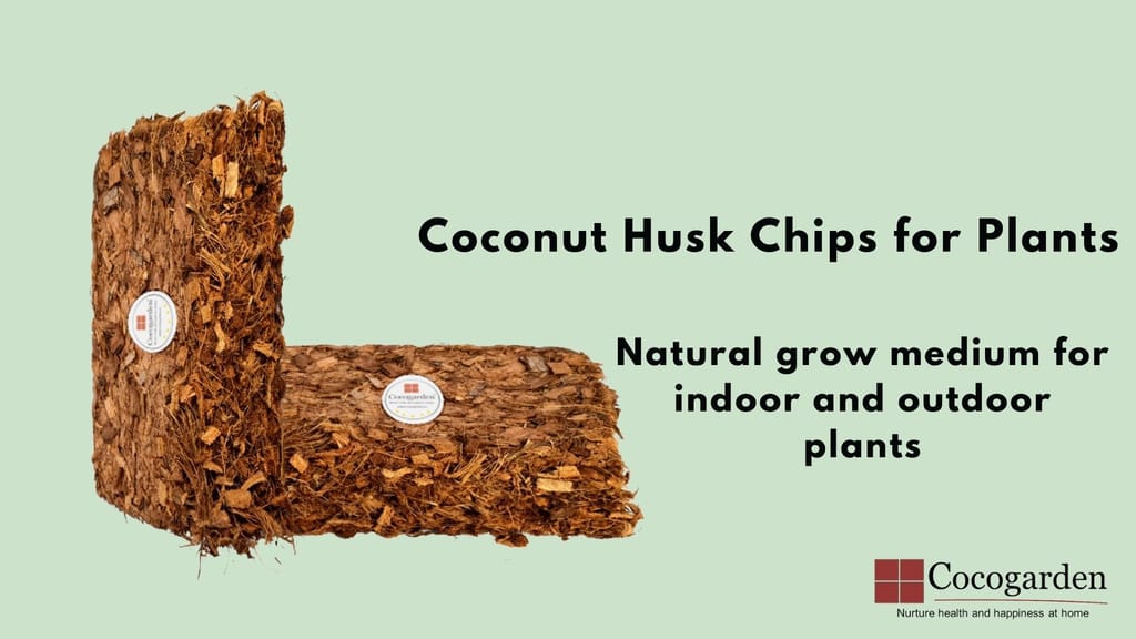 Cocogarden Coconut Coco Husk Chips for Plants view 2