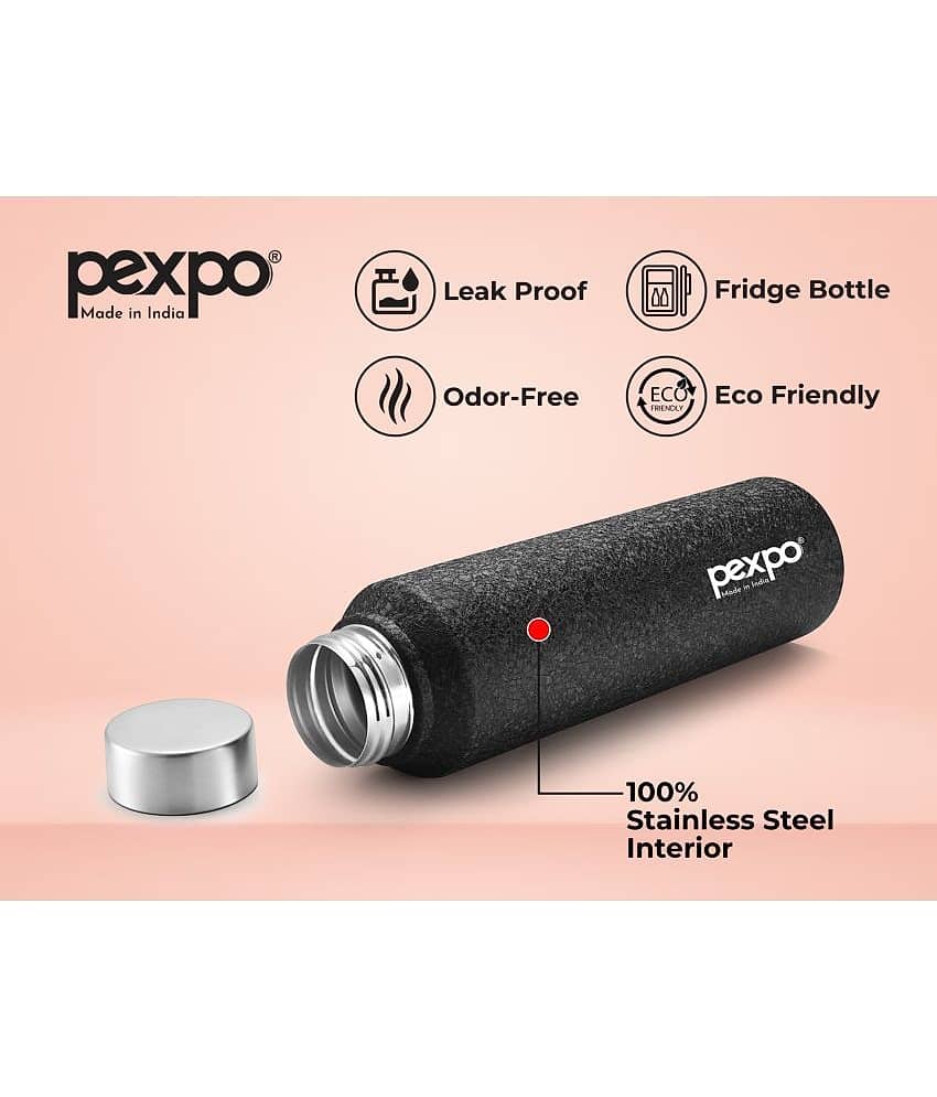 PEXPO 750 ml Stainless Steel Fridge Water Bottle (Set of 1, Red, Chromo) view 2
