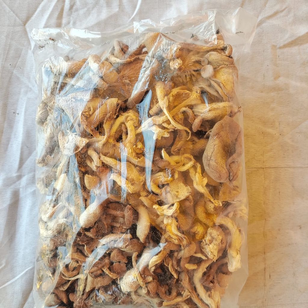 Mushroom Oyester 200gm view 2