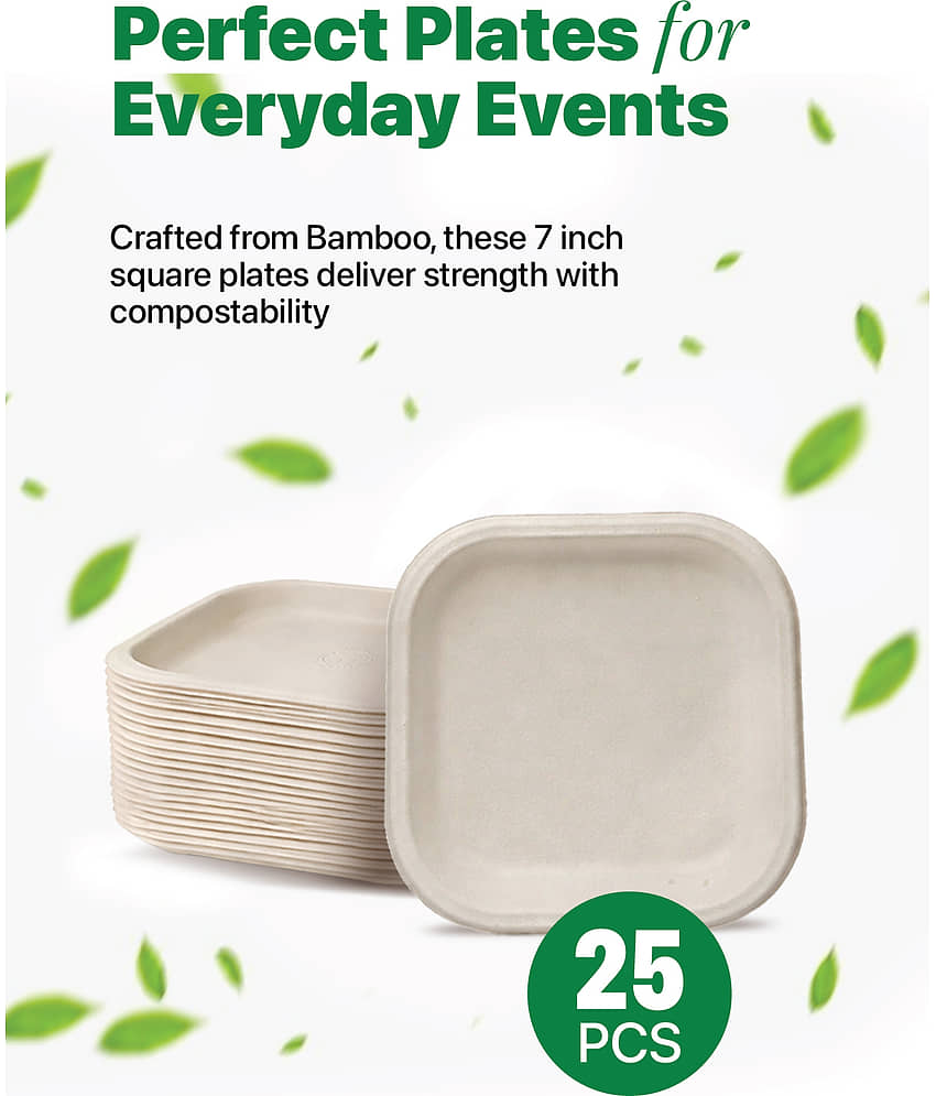 IMECO 7 Inch Square Eco-Friendly Disposables Plates (Set of 25) view 2