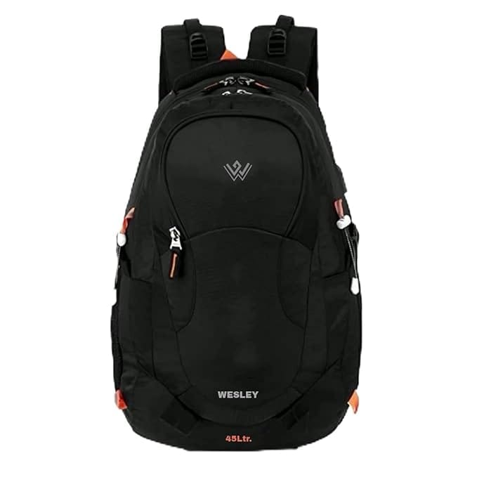 Wesley Spartan Unisex Travel Hiking Laptop Bag fits Upto 17.3 inch with Raincover and Internal Organiser Backpack Rucksack College Backpack