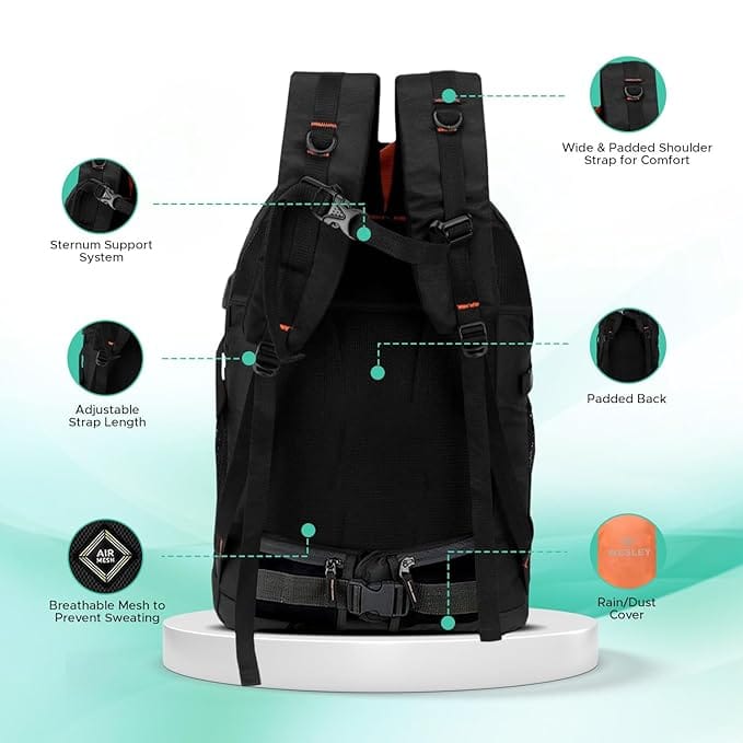Wesley Spartan Unisex Travel Hiking Laptop Bag fits Upto 17.3 inch with Raincover and Internal Organiser Backpack Rucksack College Backpack view 2