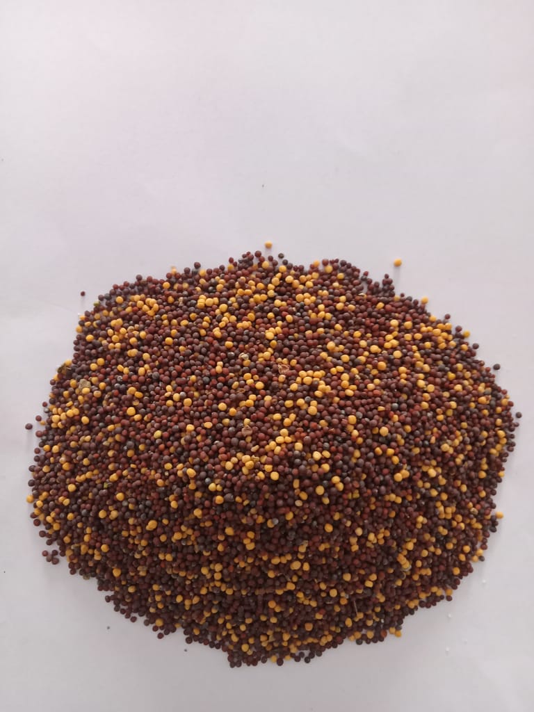 Mustard 250 gm (pack of 2) view 2