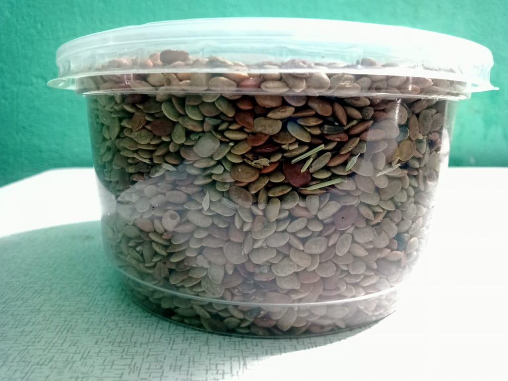 Horse Gram view 2