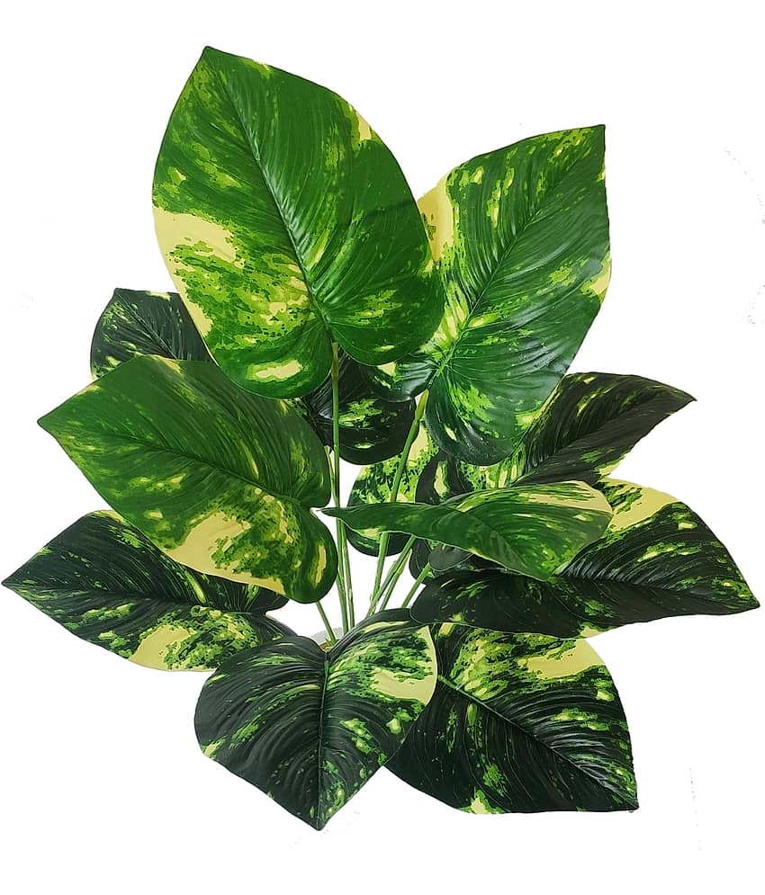 BAARIG - Multicolor Evergreen Artificial Plants Bunch ( Pack of 1 ) view 2