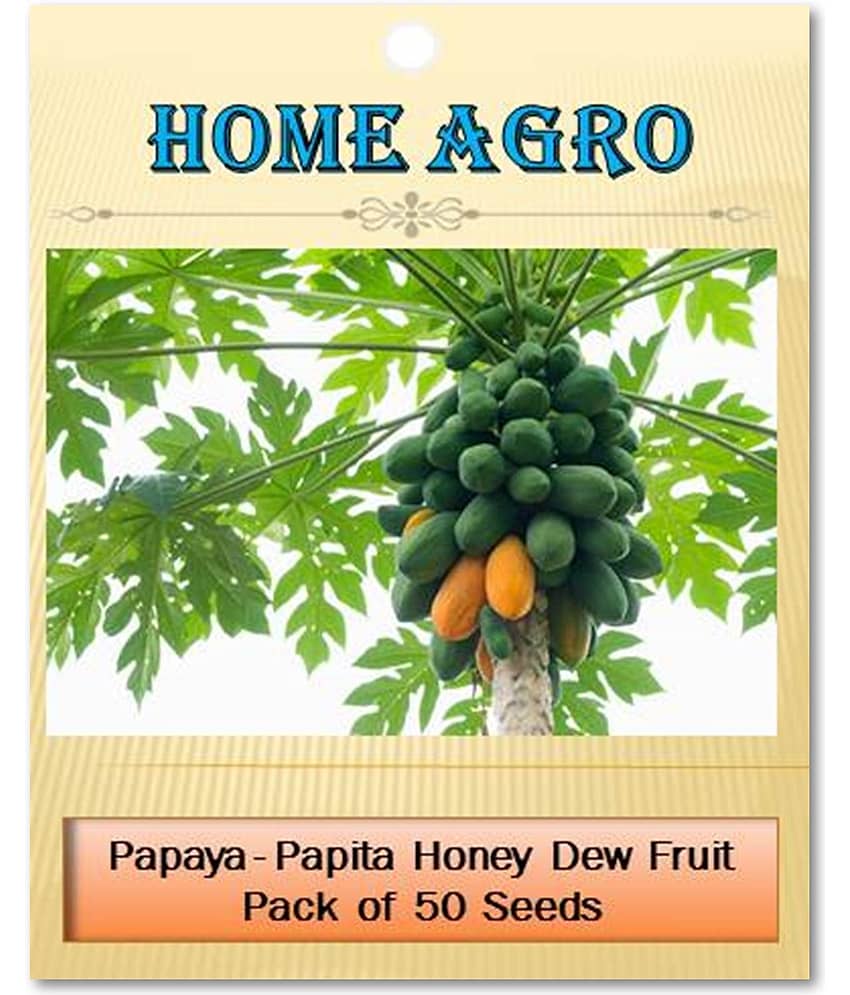 homeagro - Papaya Vegetable ( 50 Seeds ) view 2