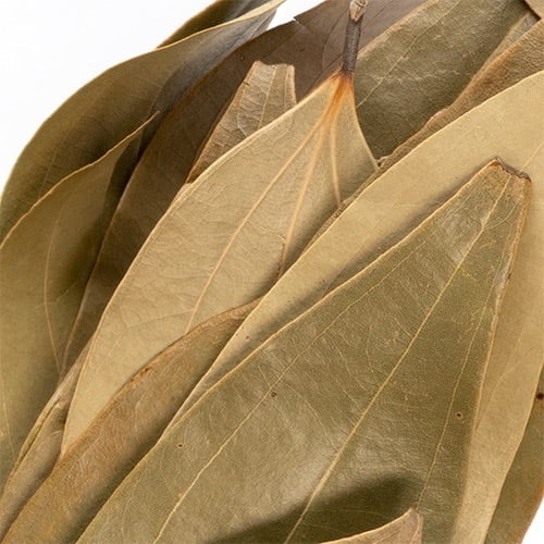Millnuts - Bay Leaf | Biriyani Ilai view 2