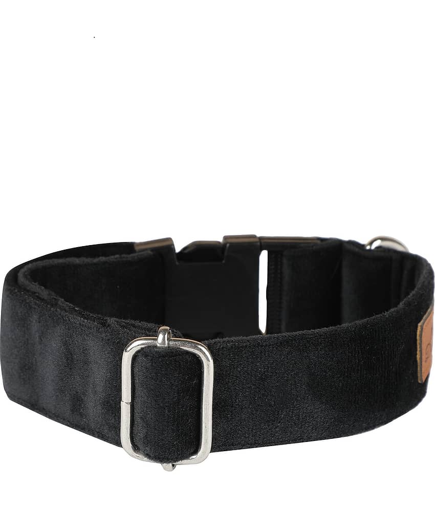NUEVOS DOGGADIL - Black Collar ( X-Small ) view 2