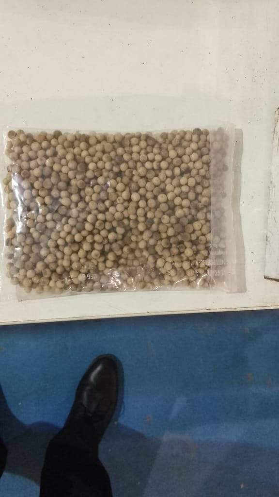 White Pepper view 2