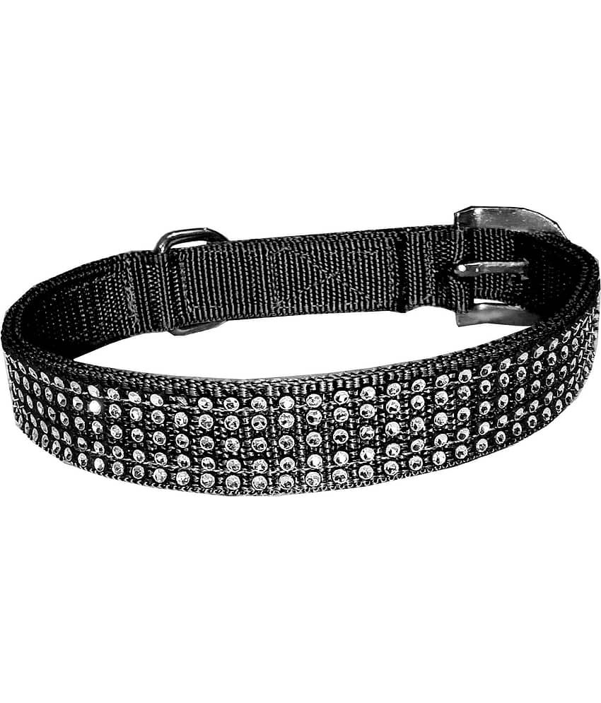 Petshop7 Blue Collar ( Large )