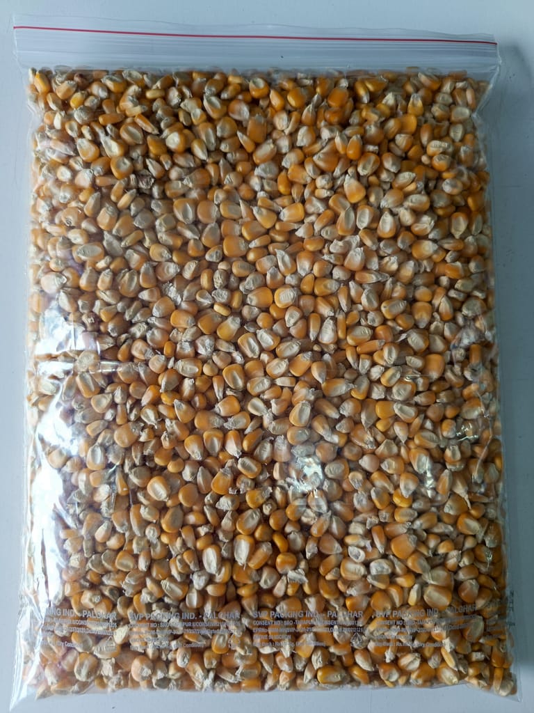 Maize Corn Kernels view 2