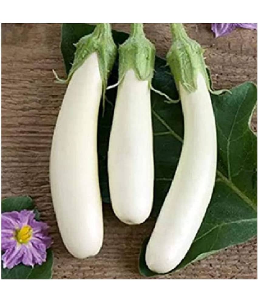 White Long Brinjal (Bengan) Eggplant Hybrid - 50 Seeds view 2